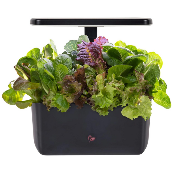 AeroGarden Harvest 2.0 Indoor Garden Hydroponic System With LED Grow Light