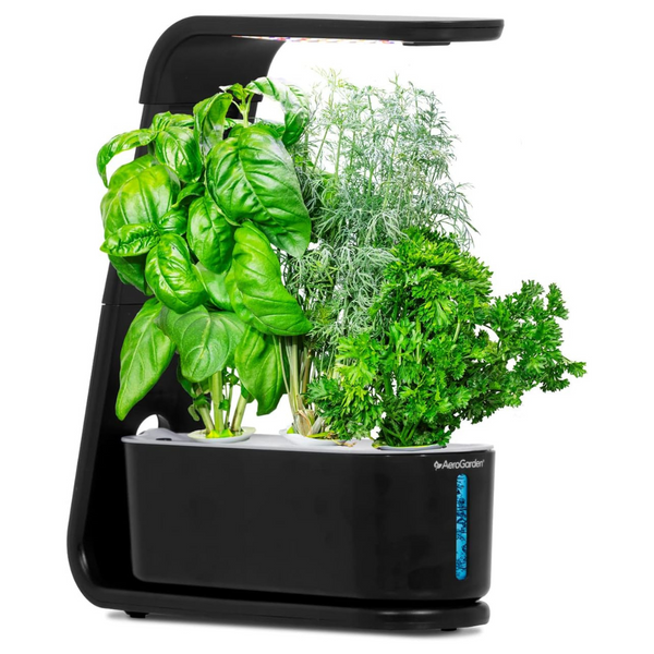 AeroGarden Sprout 3-Pod Hydroponic Indoor Garden W/ Herb Kit