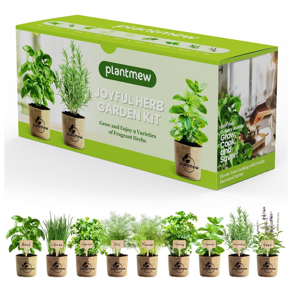 9 Herb Indoor Window Garden Plant Grow Kit