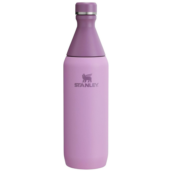 Stanley 20 Oz All Day Leakproof Stainless Steel Slim Bottle