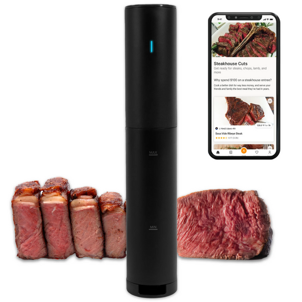 800W Anova Culinary Sous Vide Precision Cooker Mini Lite (Black)