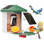 Smart Bird Feeder Camera With AI Identify Bird Species