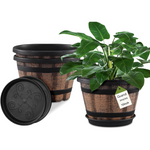 3-Pack Quarut 10" Whiskey Barrel Planters