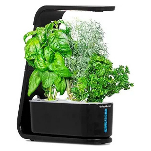 AeroGarden Sprout 3-Pod Indoor Garden With LED Grow Light