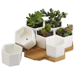 7-Pack 2.75 Inch Modern White Ceramic Planter Pots