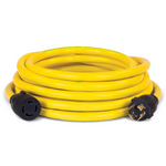 Champion 25ft 30-Amp 250-Volt Generator Power Cord