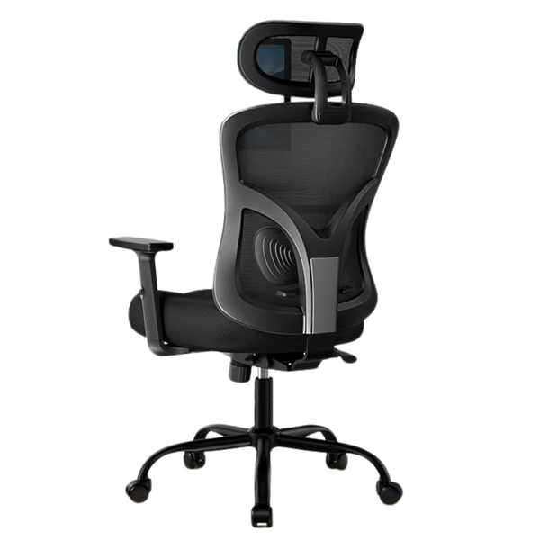 HUANUO High Back Ergonomic Office Desk Chair