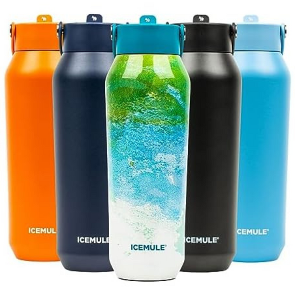 ICEMULE 32oz Insulated Sports Bottle with Chug (4 Colors)