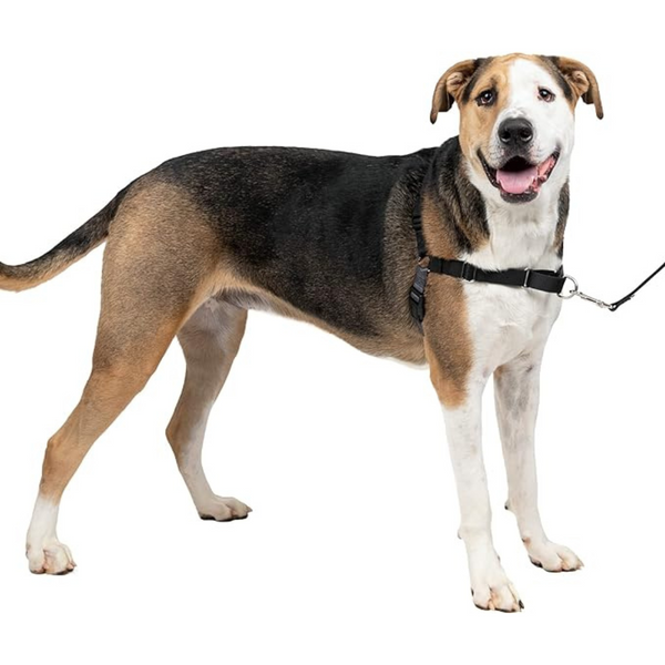 PetSafe Easy Walk No-Pull Dog Harness