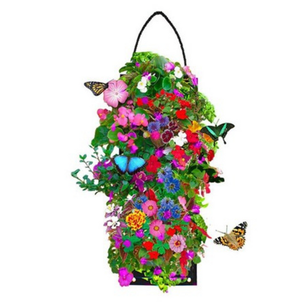 Touch Of ECO 3 Pocket Hanging Flower Garden Seed Kit