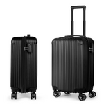 Hikolayae Vertical 20" Carry-On Hardside Spinner Luggage (2 Colors)