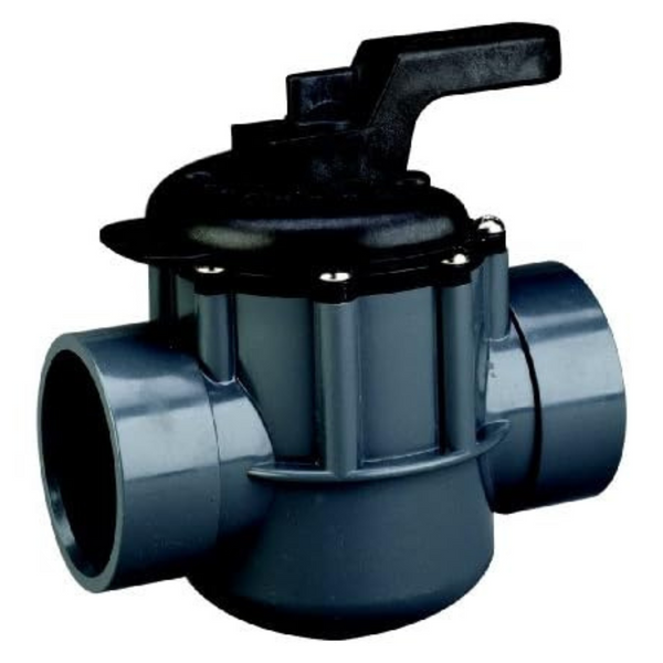 Pentair 263029 Two Port Diverter Valve With 2-Way 2" PVC Pipe