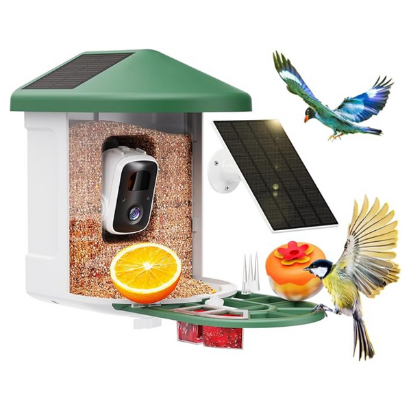 Smart Bird Feeder Camera with AI Identify Bird Species
