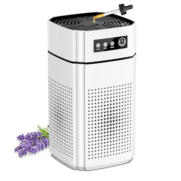 H13 True HEPA Filter Air Purifier with Sleep Mode Speed Control