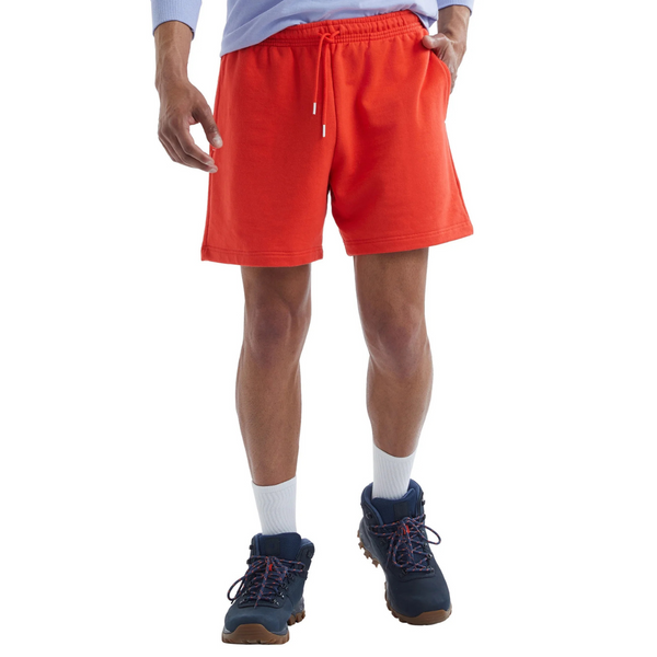 Hanes Men's Explorer French Terry 6" Shorts (various)