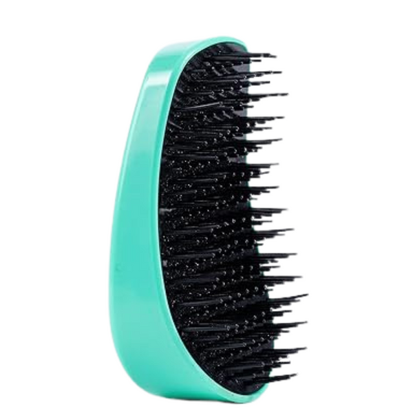 Amazon Basics Detangling Palm Hair Brush For All Hair Types Wet Or Dry