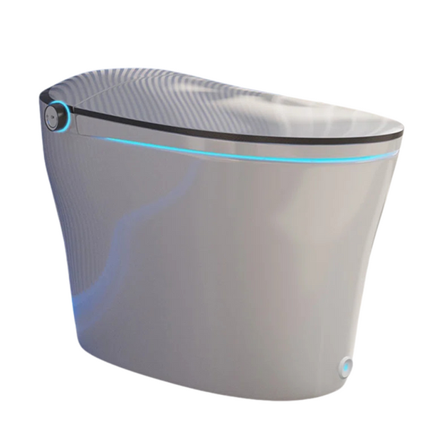 DeerValley Smart Bidet Quiet-Closed Heated Toilet