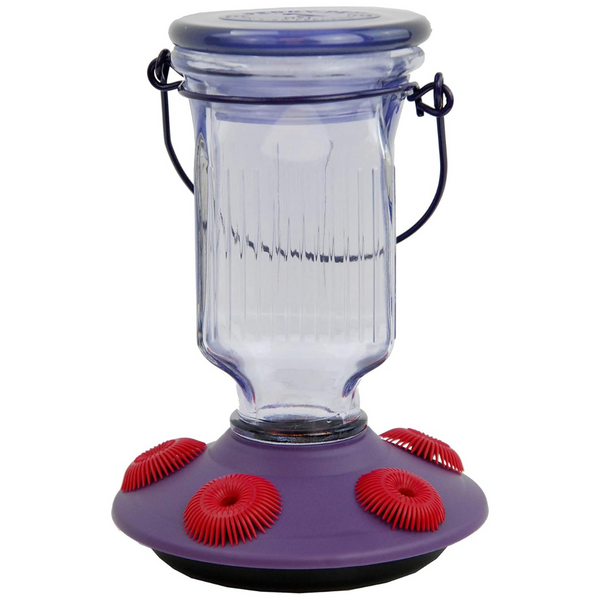 Perky-Pet Lavender Field Top-Fill Glass Hummingbird Feeder (16 oz)