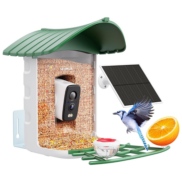 Bird Feeder Camera With AI Identification