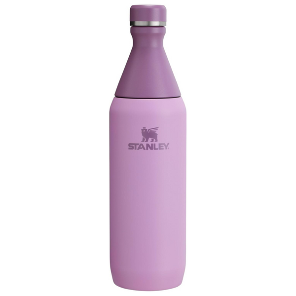 Stanley 20oz All Day Leakproof Stainless Steel Slim Bottle