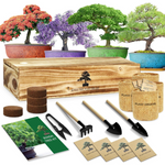 Bonsai Tree Kit Plants with Tools
