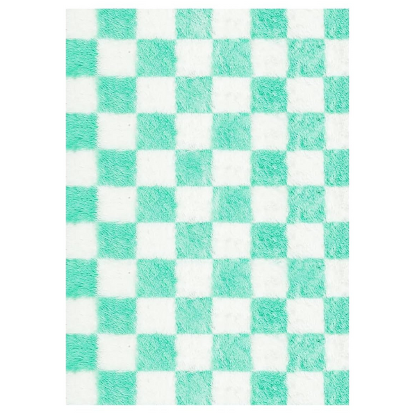 5ft x 8ft Non-Slip Super Soft Washable Fluffy Checkered Rug