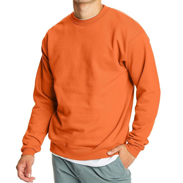 Hanes Men's EcoSmart Fleece Sweatshirt