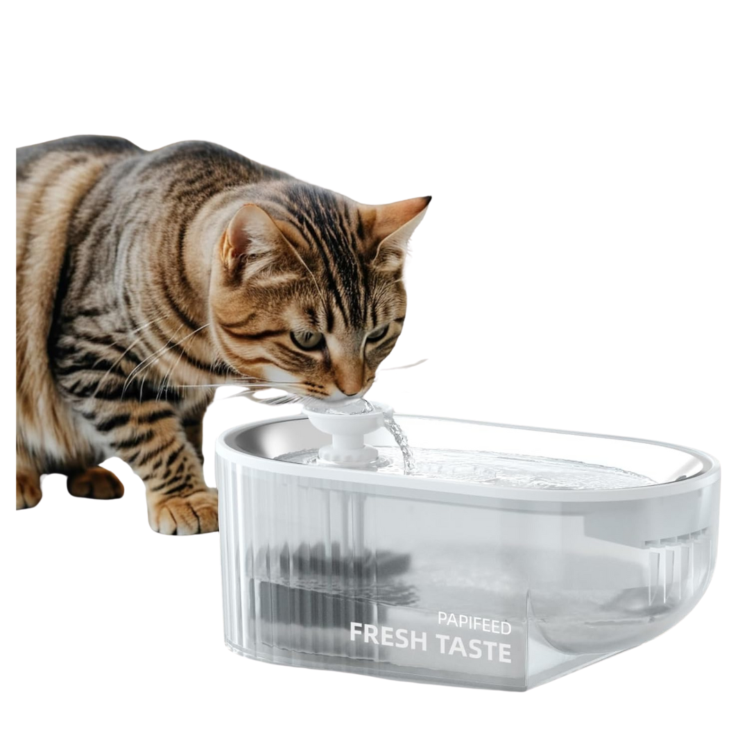 84oz/2.5L Automatic Pet Water Fountain Dog Water Dispenser