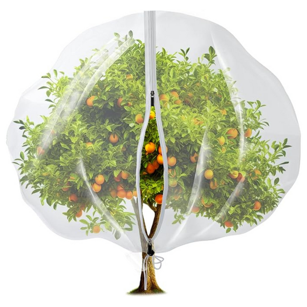 Transparent 13.1 x 9.8 Ft Large Tree Nets With Zipper Drawstring