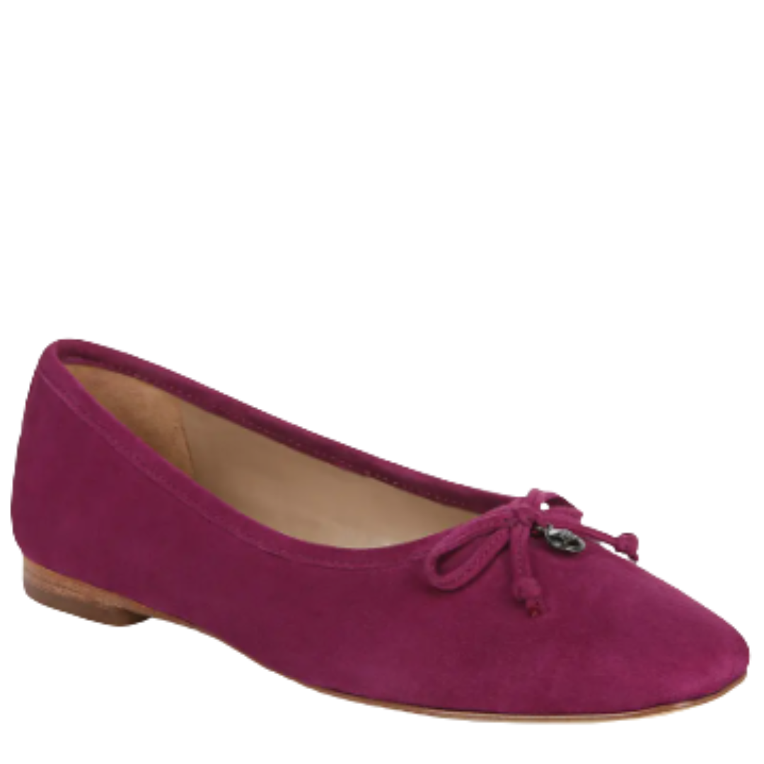 Sam Edelman Meadow Ballet Flats