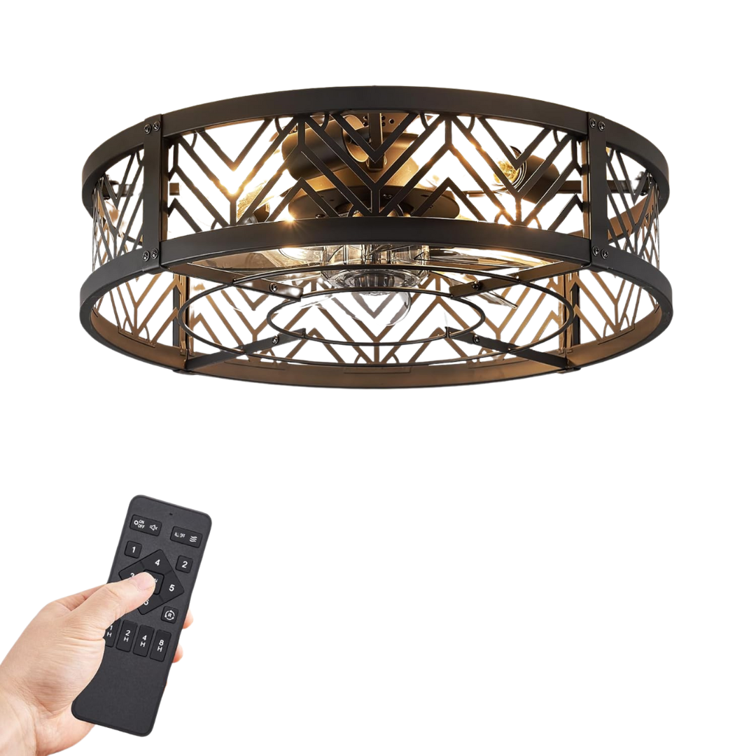 Lediary 20" Caged Ceiling Fan With Light