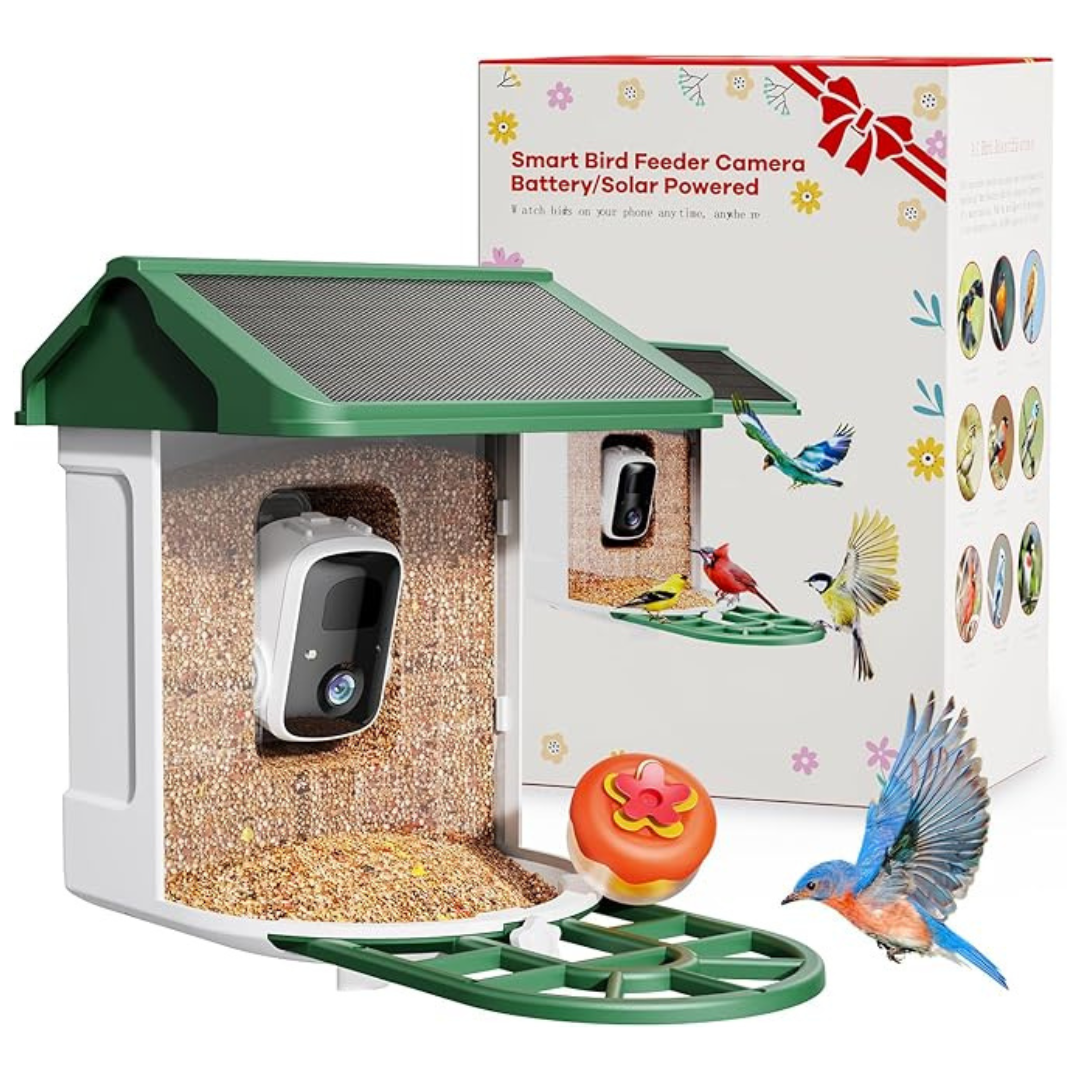 Solar-Powered Bird Feeder With Smart AI Identify Birds