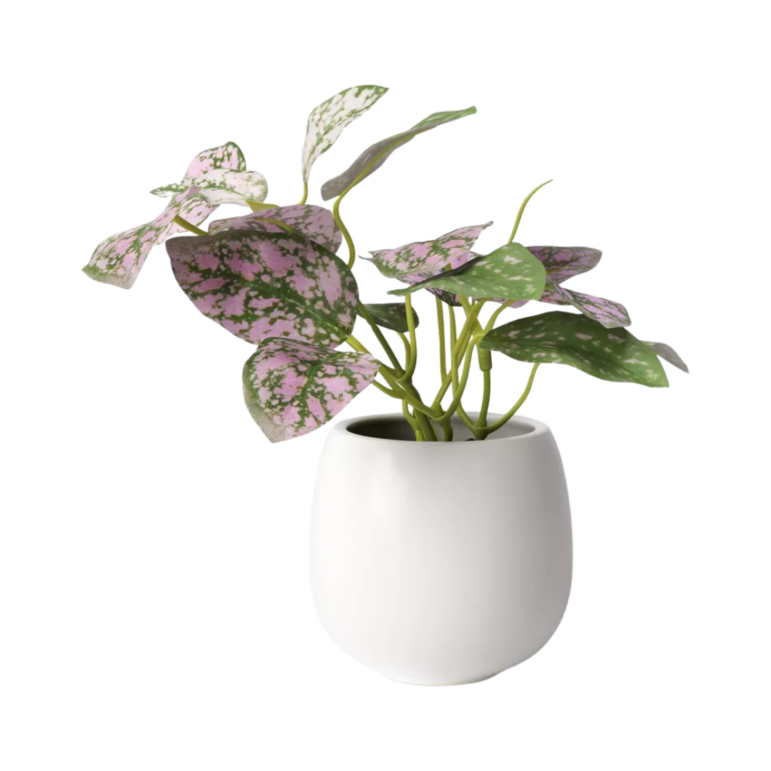 Target: 40% Off Artificial Plants
