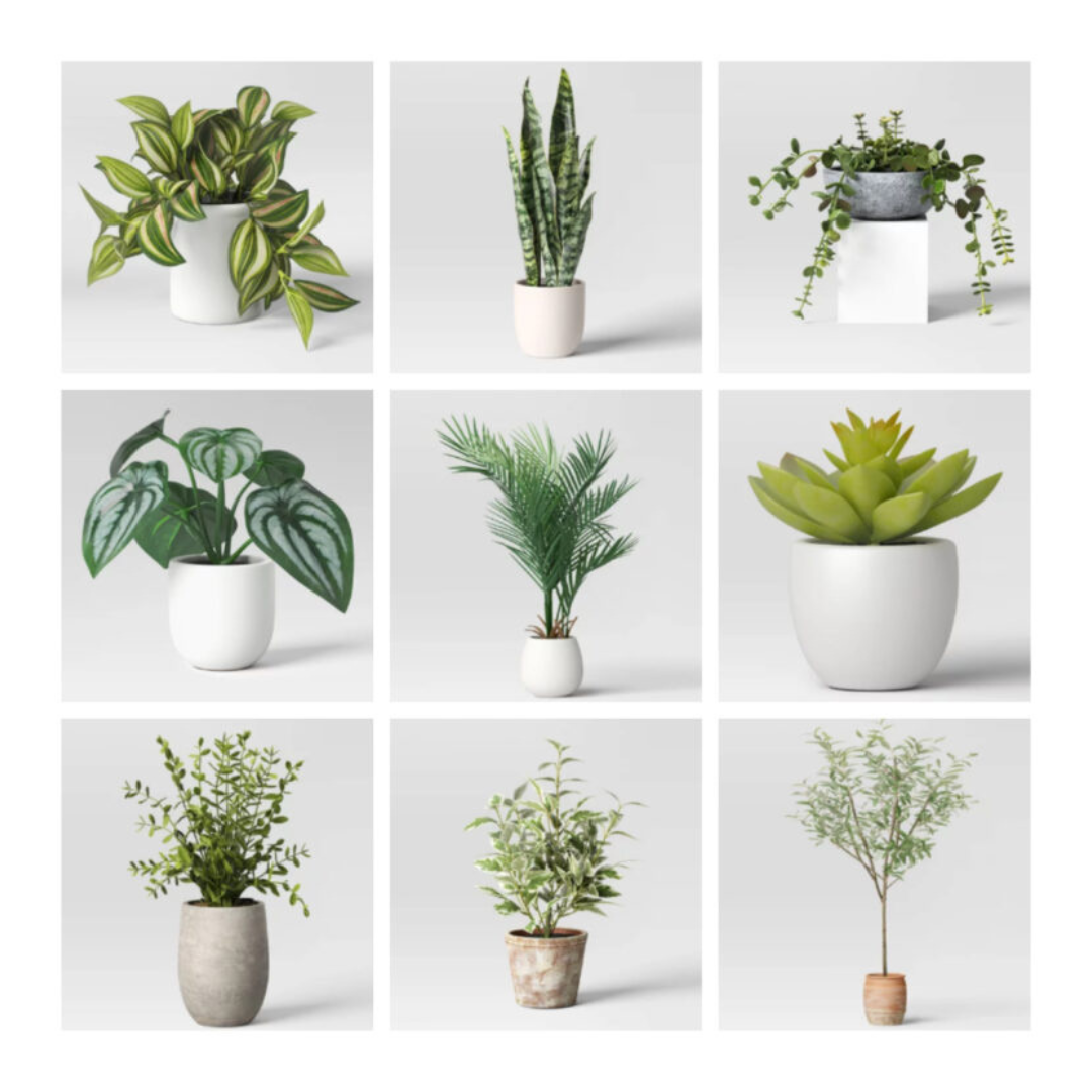 Target: 40% Off Artificial Plants From $3!