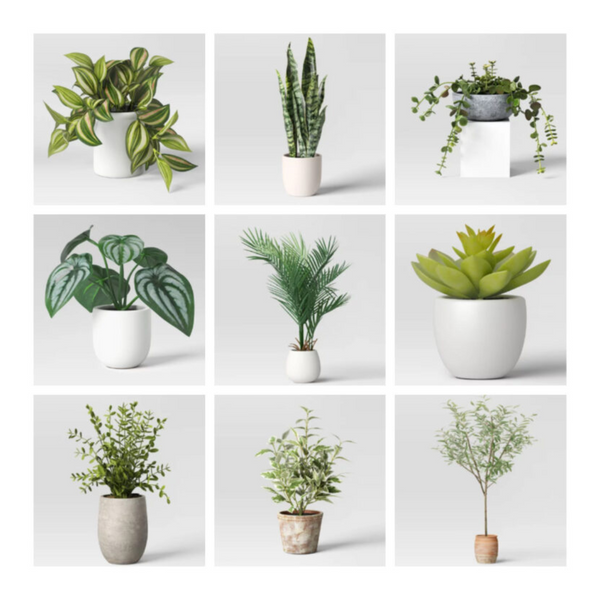 Target: 40% Off Artificial Plants From $3!