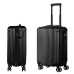 Hikolayae Vertical 20" Carry-On Hardside Spinner Luggage (2 Colors)