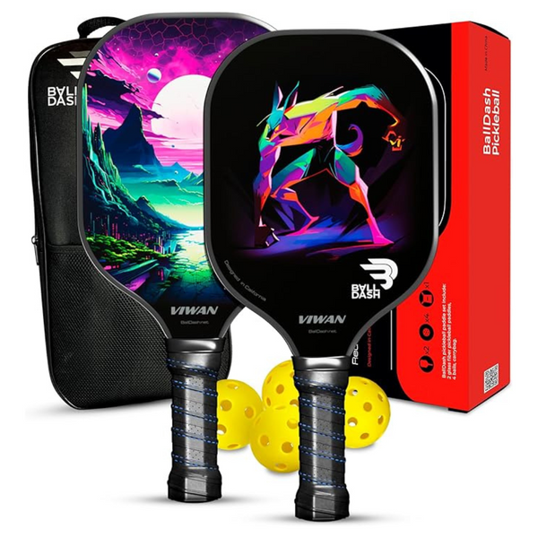 Set Of 2 Balldash Pickleball Paddles W/ 4 Balls & Carrying Bag