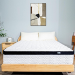Molbius 10" Queen Size Memory Foam Hybrid Mattress