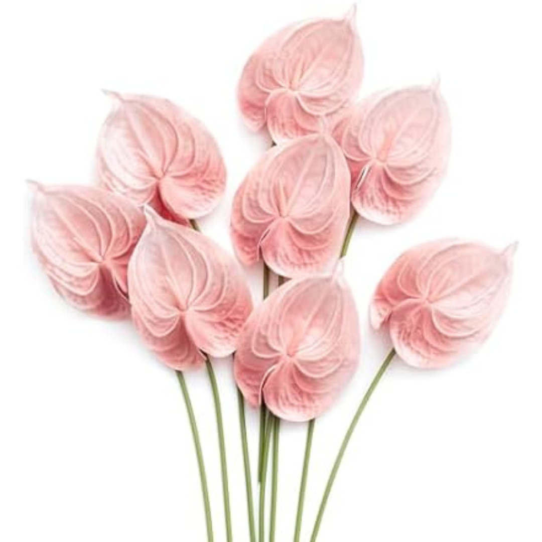 8-Piece Blush Silk Filler Flower Artificial Anthurium Plants