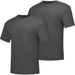 2-Pack Hanes Men's Beefy Short Sleeve T Shirt