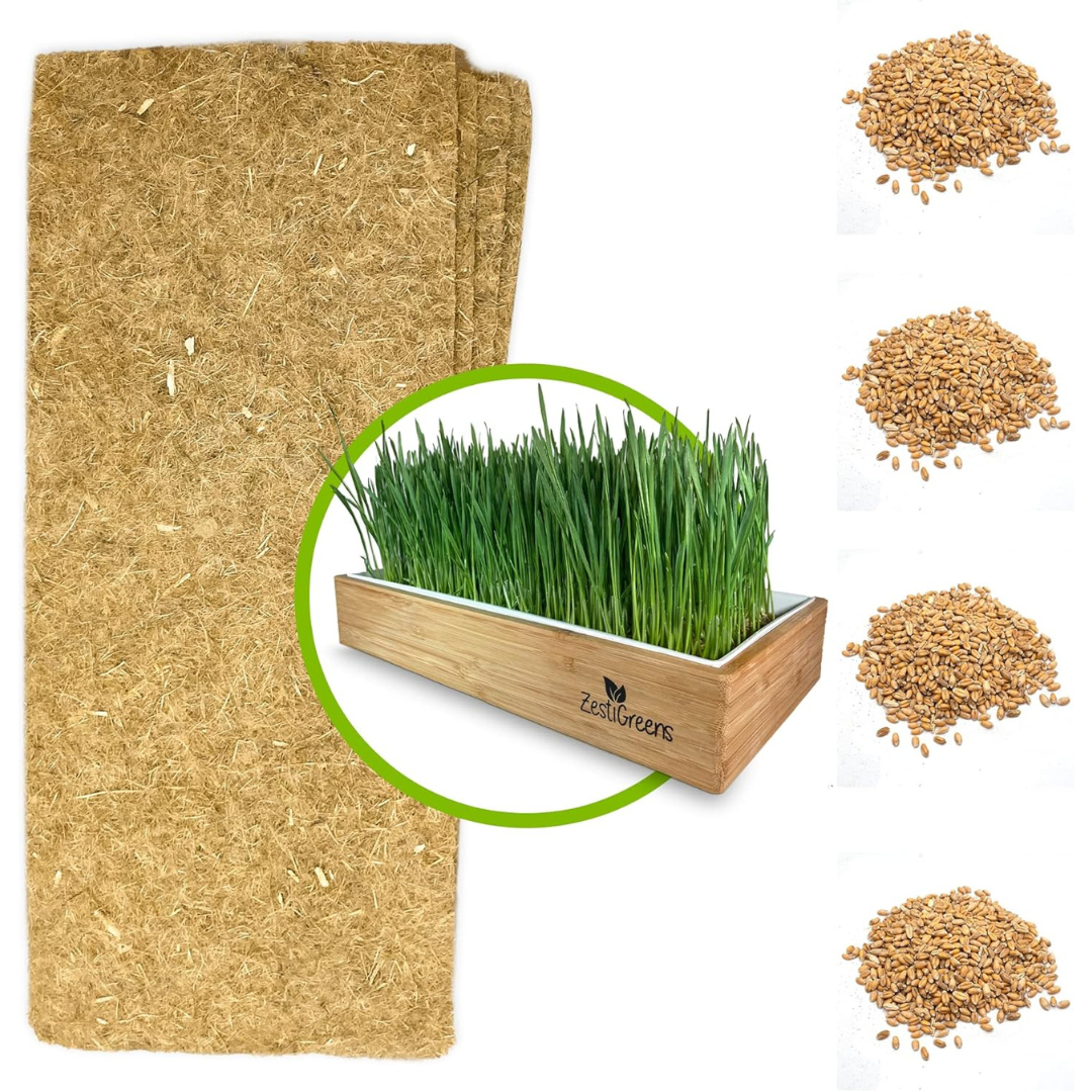 Self Watering Cat Grass Refill Kit