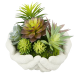 Mainstays 4" Succulent Arrangement in Ceramic Hands Pot