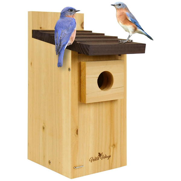 Wild Wings WWCH3 Cedar Blue Bird Box House