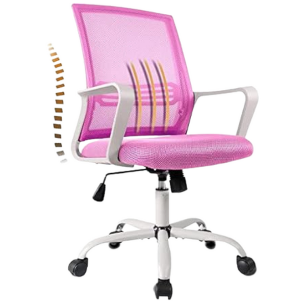 Nature Mature Adjustable Mid Back Ergonomic Mesh Chair