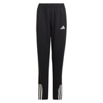 adidas kids Tiro 23 Competition Training Pants (Large)
