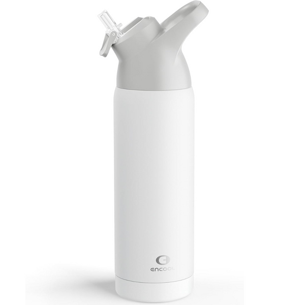 20-Oz Insulated Stainless Steel Water Bottle with Straw