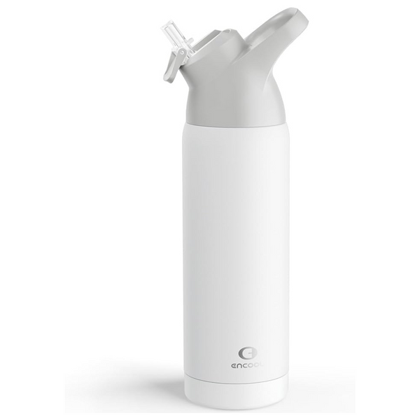 24-Oz Insulated Stainless Steel Water Bottle With Straw (Snowflake)