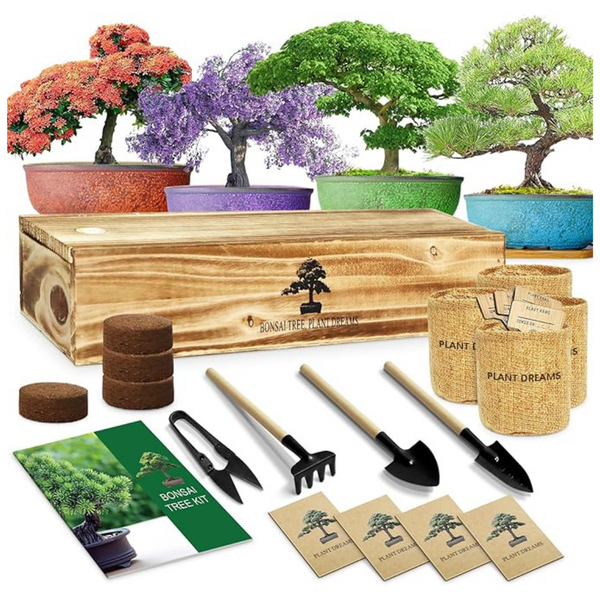 Growing Bonsai Plants Kit With Tools (MH-01)