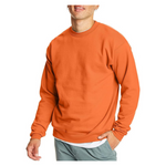Hanes Men's EcoSmart Fleece Sweatshirt