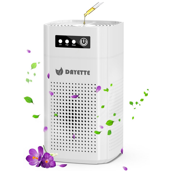 H13 True HEPA Air Filter Purifier